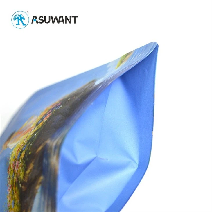 Custom Digital Printed BRC GRS Official Disney Licensed Hologram Spot UV Laser Stand Up Pouches Zipper Packaging Bags suppliers
